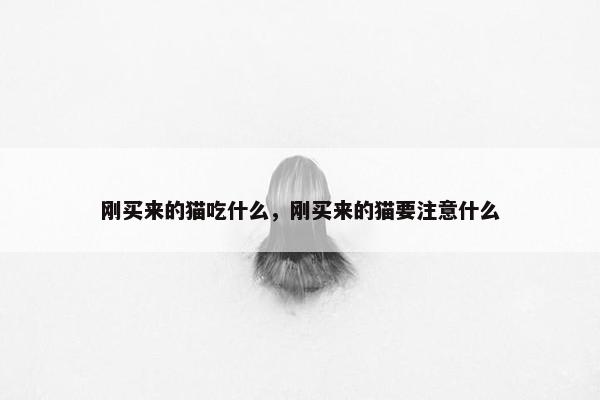 刚买来的猫吃什么，刚买来的猫要注意什么