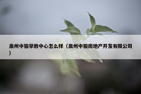 泉州中骏早教中心怎么样（泉州中骏房地产开发有限公司）