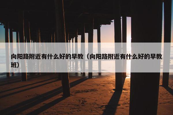 向阳路附近有什么好的早教（向阳路附近有什么好的早教班）