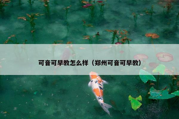 可音可早教怎么样（郑州可音可早教）