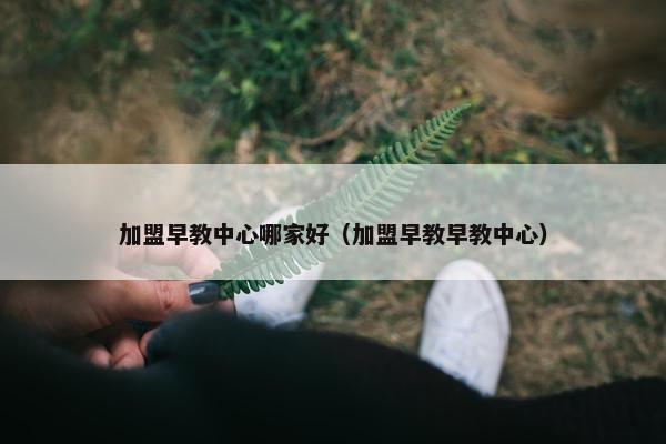 加盟早教中心哪家好（加盟早教早教中心）