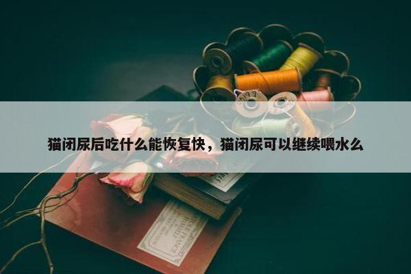 猫闭尿后吃什么能恢复快，猫闭尿可以继续喂水么