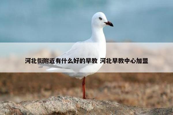 河北街附近有什么好的早教 河北早教中心加盟