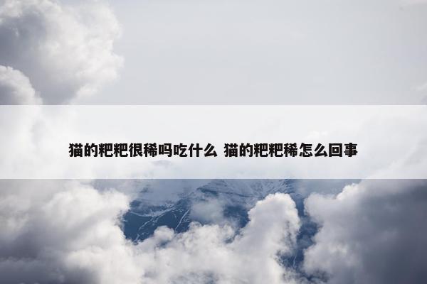 猫的粑粑很稀吗吃什么 猫的粑粑稀怎么回事