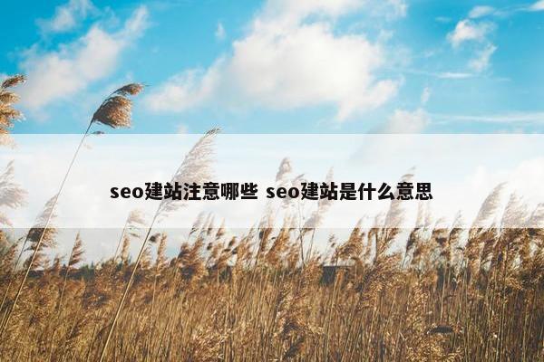 seo建站注意哪些 seo建站是什么意思