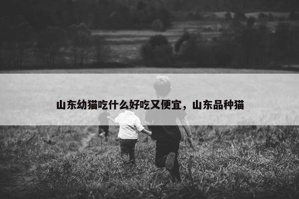 山东幼猫吃什么好吃又便宜，山东品种猫