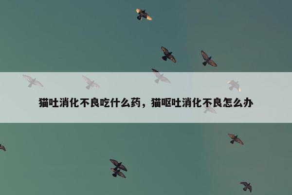 猫吐消化不良吃什么药，猫呕吐消化不良怎么办