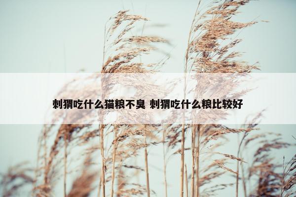 刺猬吃什么猫粮不臭 刺猬吃什么粮比较好