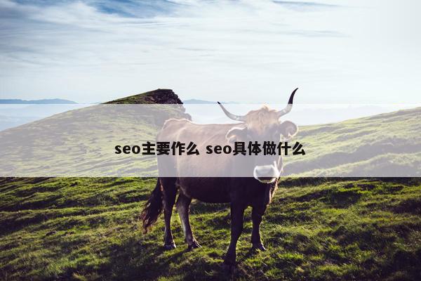 seo主要作么 seo具体做什么