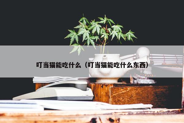 叮当猫能吃什么（叮当猫能吃什么东西）