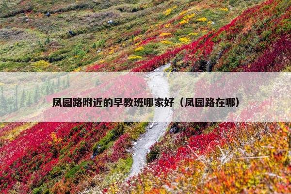 凤园路附近的早教班哪家好（凤园路在哪）