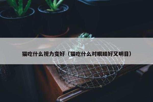 猫吃什么视力变好（猫吃什么对眼睛好又明目）