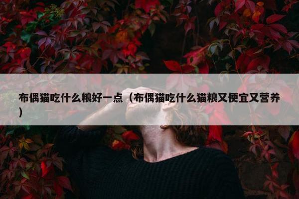 布偶猫吃什么粮好一点（布偶猫吃什么猫粮又便宜又营养）