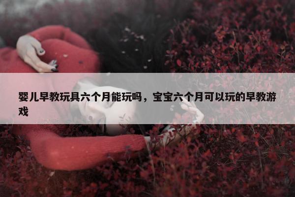 婴儿早教玩具六个月能玩吗，宝宝六个月可以玩的早教游戏