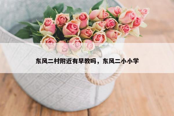 东风二村附近有早教吗，东风二小小学