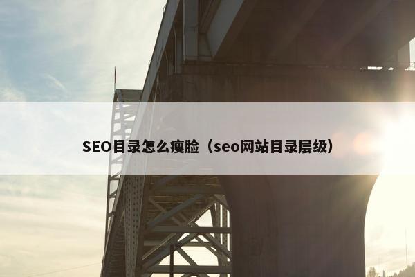 SEO目录怎么瘦脸（seo网站目录层级）