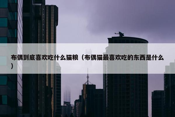 布偶到底喜欢吃什么猫粮（布偶猫最喜欢吃的东西是什么）