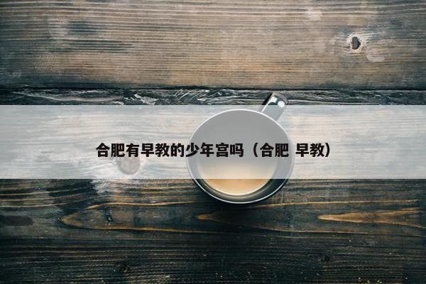 合肥有早教的少年宫吗（合肥 早教）