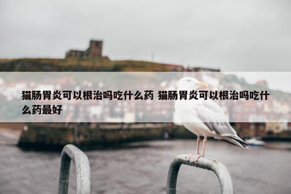 猫肠胃炎可以根治吗吃什么药 猫肠胃炎可以根治吗吃什么药最好