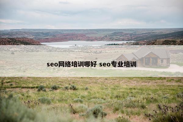 seo网络培训哪好 seo专业培训