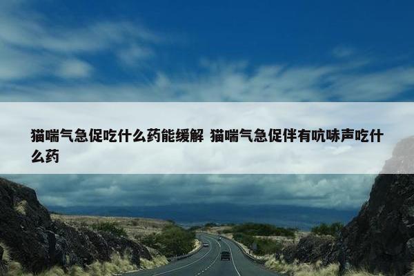 猫喘气急促吃什么药能缓解 猫喘气急促伴有吭哧声吃什么药