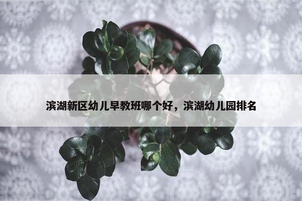 滨湖新区幼儿早教班哪个好，滨湖幼儿园排名