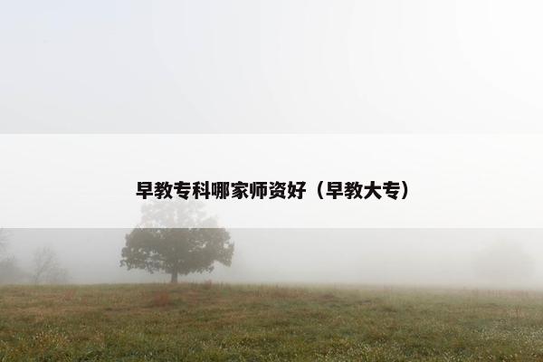 早教专科哪家师资好（早教大专）