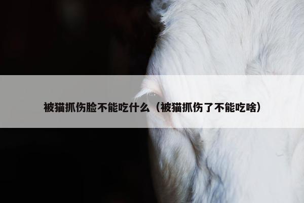 被猫抓伤脸不能吃什么（被猫抓伤了不能吃啥）