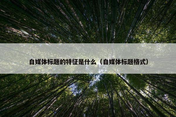 自媒体标题的特征是什么（自媒体标题格式）