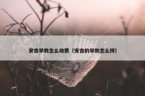 安吉早教怎么收费（安吉的早教怎么样）