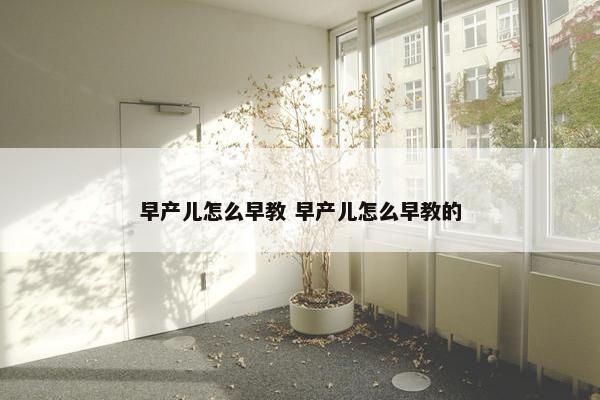 早产儿怎么早教 早产儿怎么早教的