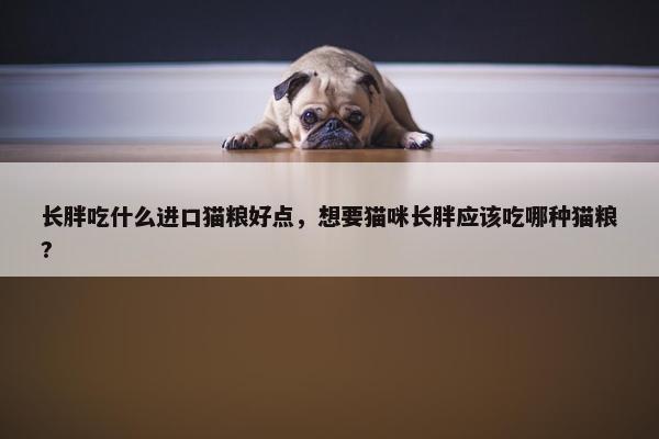 长胖吃什么进口猫粮好点，想要猫咪长胖应该吃哪种猫粮?