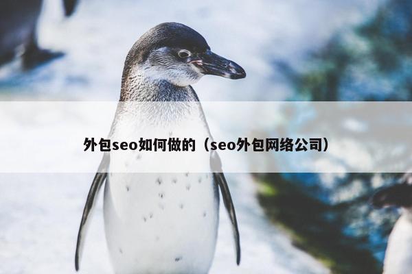 外包seo如何做的（seo外包网络公司）