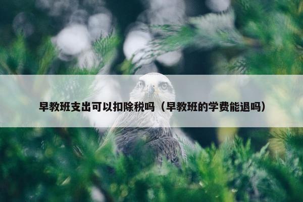 早教班支出可以扣除税吗（早教班的学费能退吗）