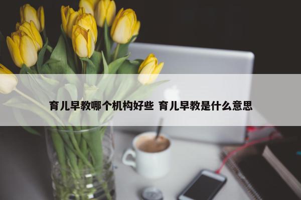 育儿早教哪个机构好些 育儿早教是什么意思