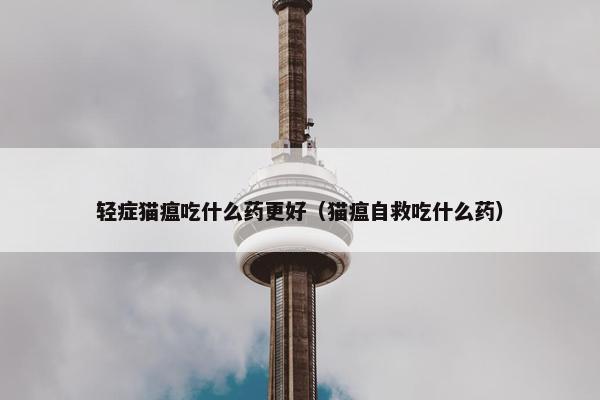 轻症猫瘟吃什么药更好（猫瘟自救吃什么药）