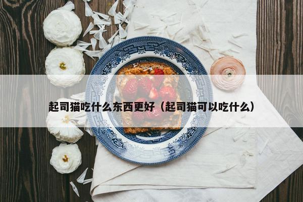 起司猫吃什么东西更好（起司猫可以吃什么）