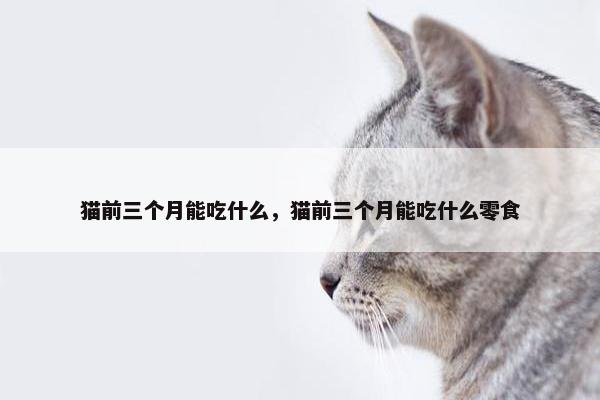 猫前三个月能吃什么，猫前三个月能吃什么零食