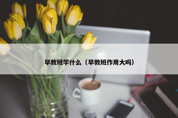 早教班学什么（早教班作用大吗）