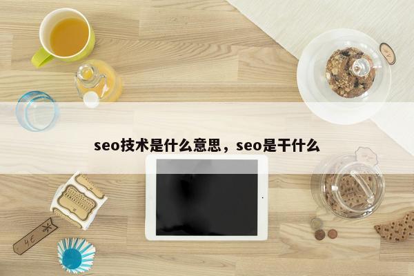 seo技术是什么意思，seo是干什么