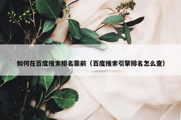 如何在百度搜索排名靠前（百度搜索引擎排名怎么查）