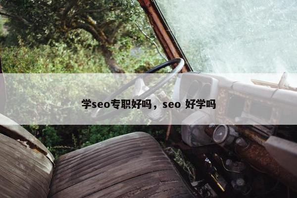 学seo专职好吗，seo 好学吗