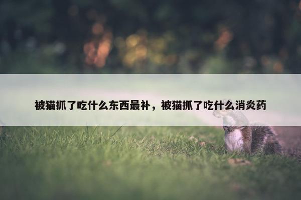 被猫抓了吃什么东西最补，被猫抓了吃什么消炎药