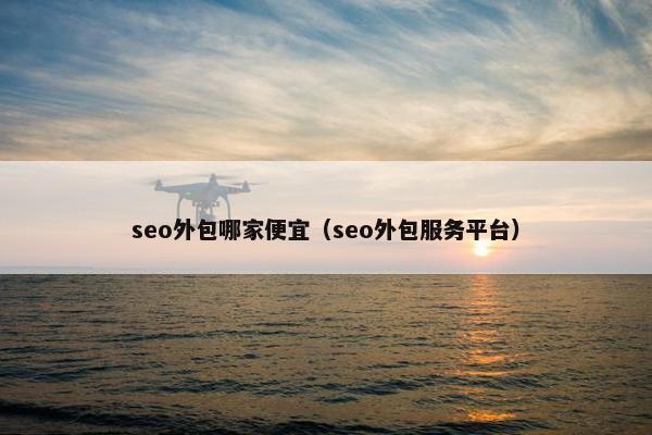 seo外包哪家便宜（seo外包服务平台）