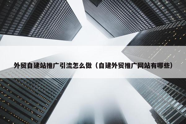 外贸自建站推广引流怎么做（自建外贸推广网站有哪些）