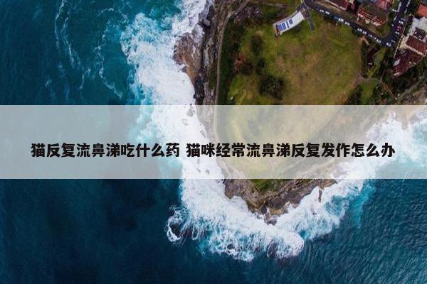 猫反复流鼻涕吃什么药 猫咪经常流鼻涕反复发作怎么办