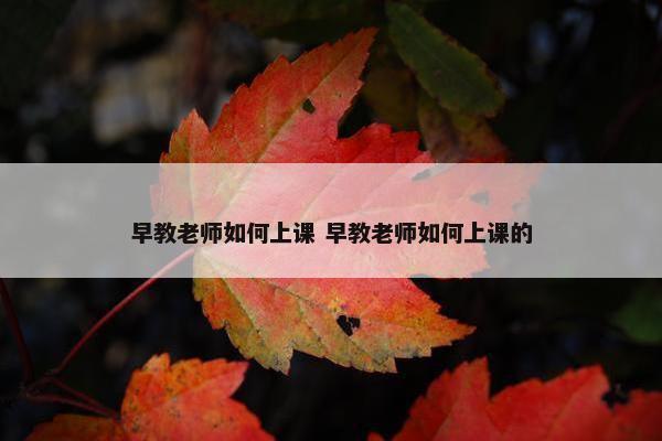 早教老师如何上课 早教老师如何上课的