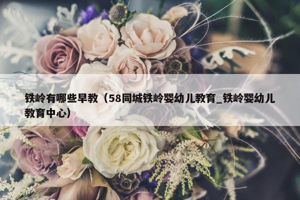 铁岭有哪些早教（58同城铁岭婴幼儿教育_铁岭婴幼儿教育中心）