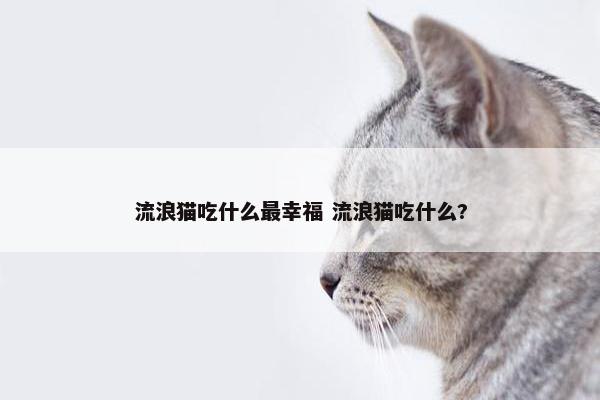 流浪猫吃什么最幸福 流浪猫吃什么?