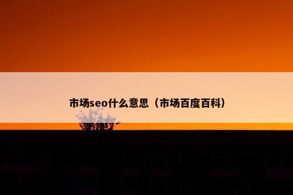 市场seo什么意思（市场百度百科）